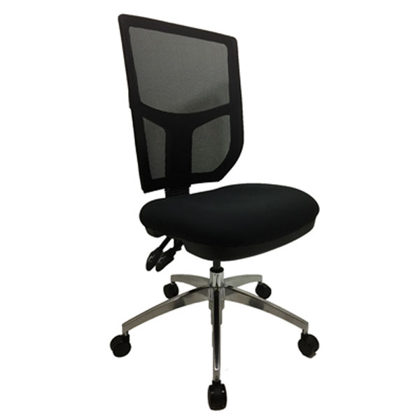 Matrix Mesh Ergo Chair