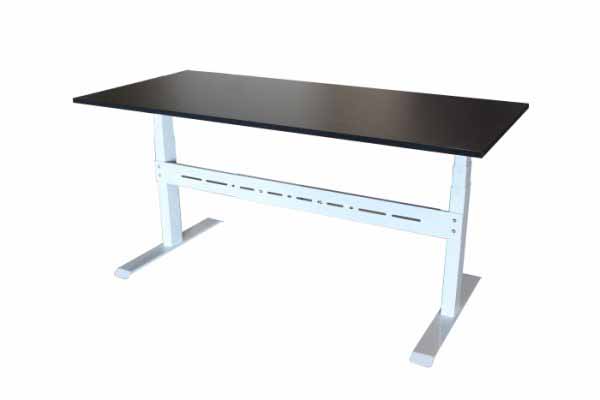 Elevate Desk with Modesty