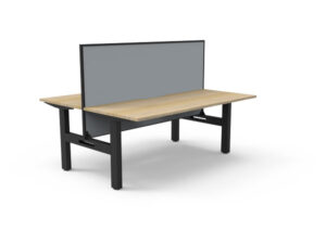 Boost Back To Back Height Adjustable Desk with Black Base and Screen