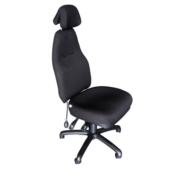 Flexi Contemporary Off ice Chair with Lumbar Pump and Headrest Posture Balance
