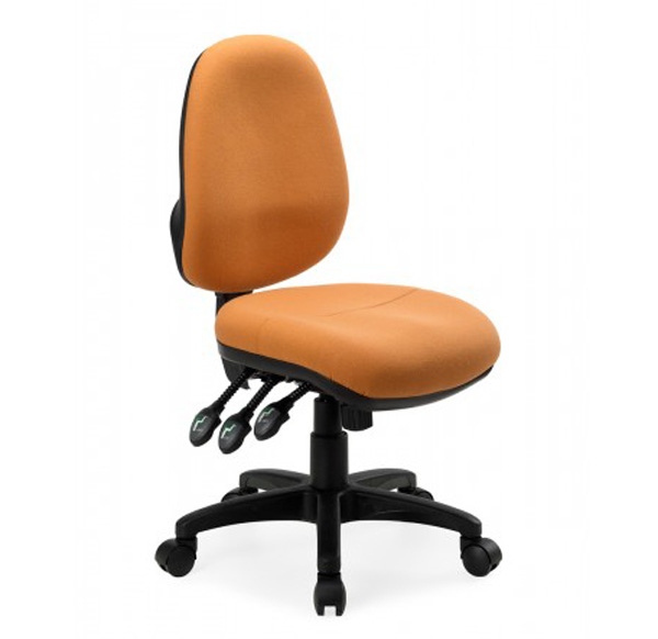 Dual Density Seat 3 Lever Ergonomic Office Chair Delta