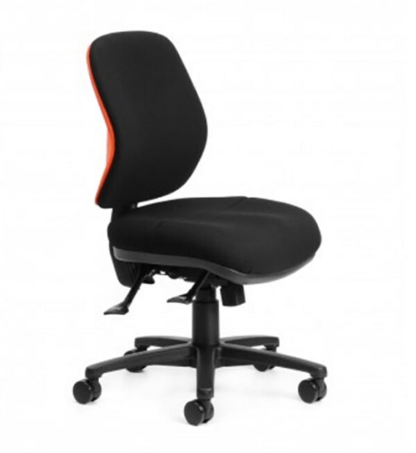 Ergonomic Office Chair Medium S Shaped Back Rite Line