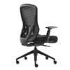 Stylish all black mesh office chair Mitz with height adjustable arms